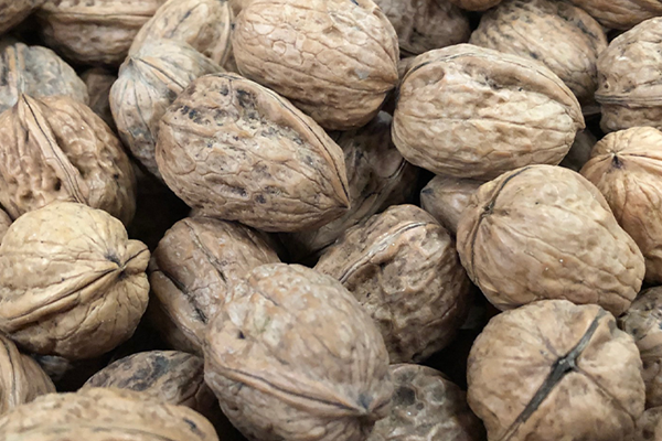 Nueces